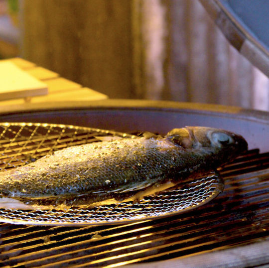 Yakiniku Round Metallic Grill Rack