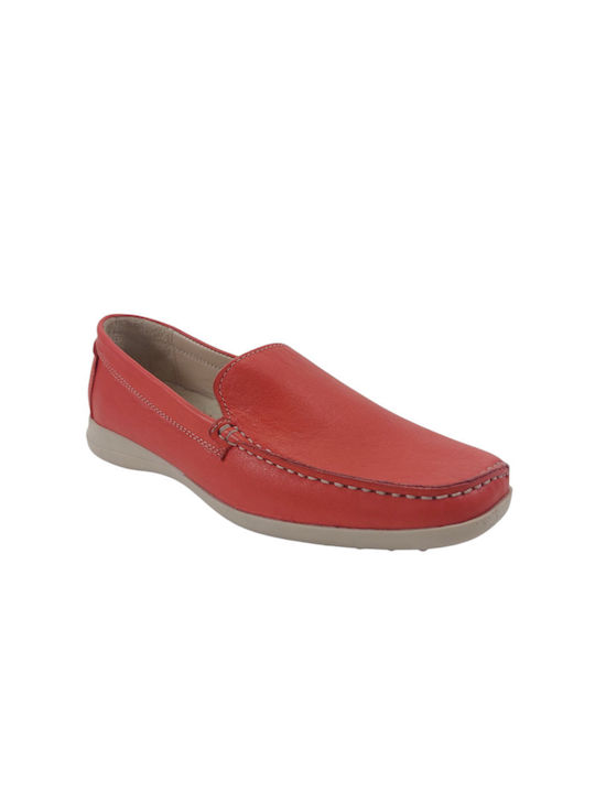 Safe Step Safe Step