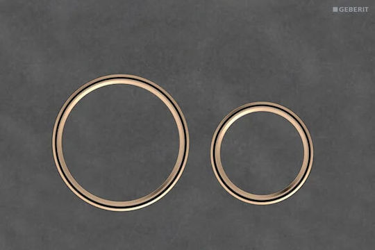 Geberit Spülplatten für Toiletten Doppelspülung