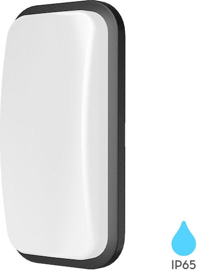 Braytron Стенен Външен Осветител LED IP65 15W 23.6x11.6x6.8см
