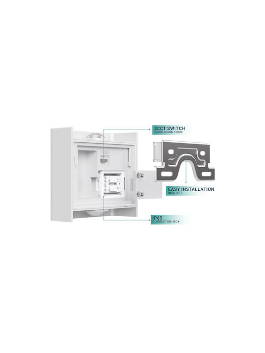 Braytron Επιτοίχιο Εξωτερικό Σποτ LED IP65 2W με Ρυθμιζόμενο Λευκό Φως 11x10x4.1εκ.