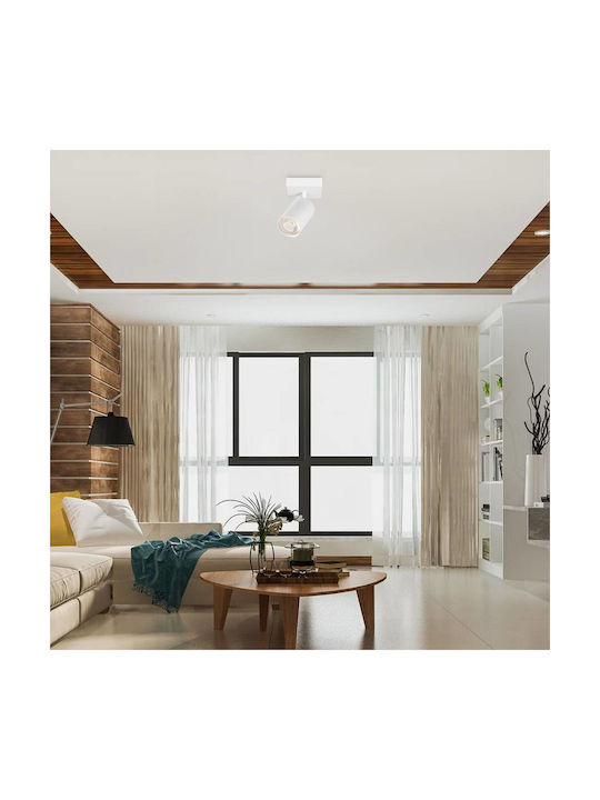 Braytron Single Spot with Socket GU10 in White Color