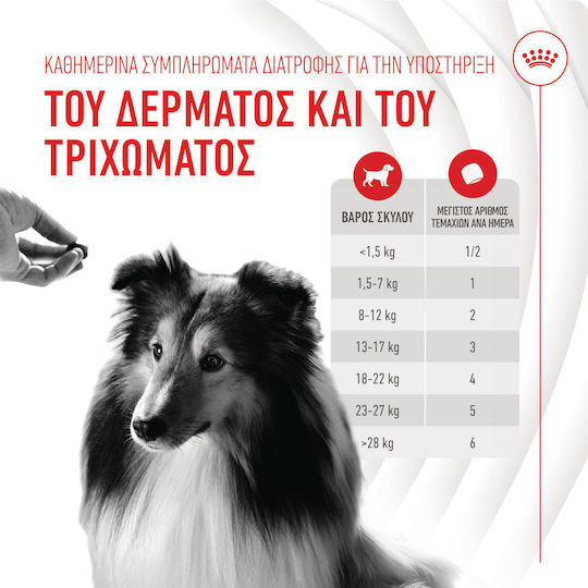 Royal Canin Skin & Coat Chews Oil Dietary Supplement for Dogs for Skin & Hair