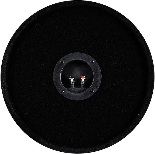 Bass Habit Play 2 Auto-Subwoofer 12" 300W RMS mit Gehäuse