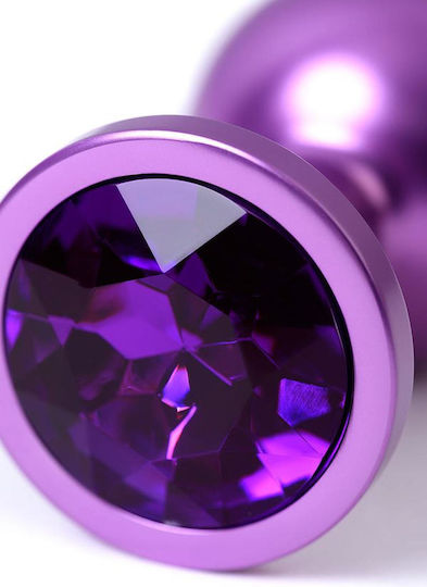 Anal Plug Purple