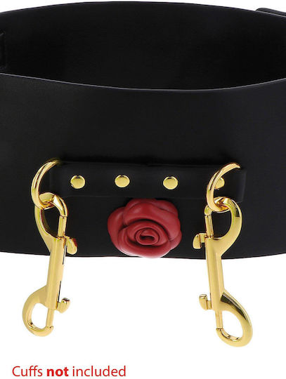 BDSM Zubehör in Schwarz Farbe