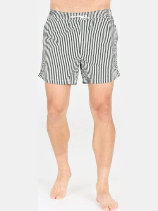 Men's Swimwear Shorts Green Striped