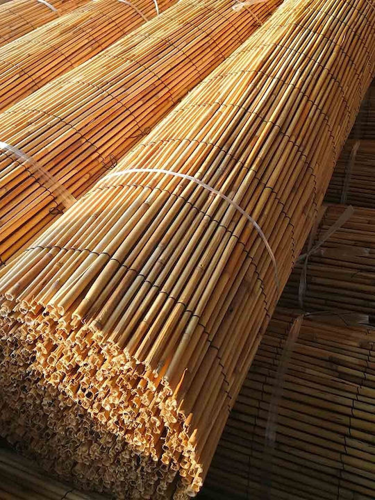 Showood Premium Bambuszaun mit Ganzes Schilf 2x5m