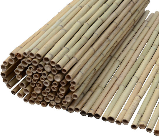 Showood Bambuszaun mit Ganzes Schilf Bambus 1,5x3m