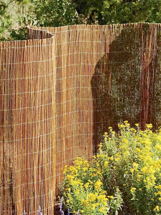 Showood Bamboo Fencing from Willow with Whole Wood 2x5m