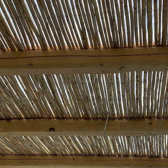 Showood Каламоти с Целият Рийд 2.5x3m