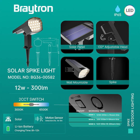 Braytron Καρφωτό Ηλιακό Φωτιστικό 12W IP65