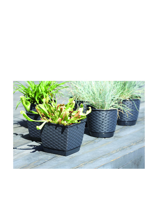 Prosperplast Ratolla Κασπώ Rattan Γκρι