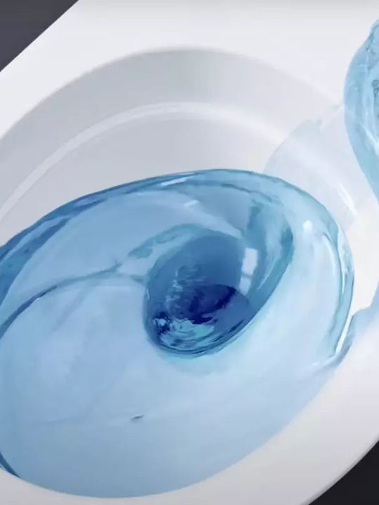 Geberit Λεκάνη Κρεμαστή με Κάλυμμα Soft Close Λευκή