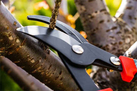 Verto 15G253 Bypass Lopper 100cm for branches up to 35mm