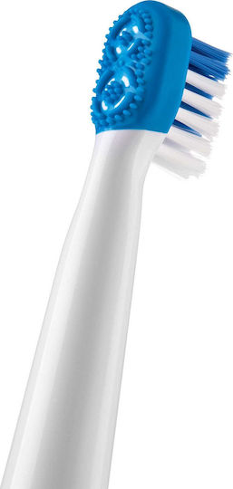 Sencor Sencor Electric Toothbrush Replacement Heads Sox 2 Pieces Blue