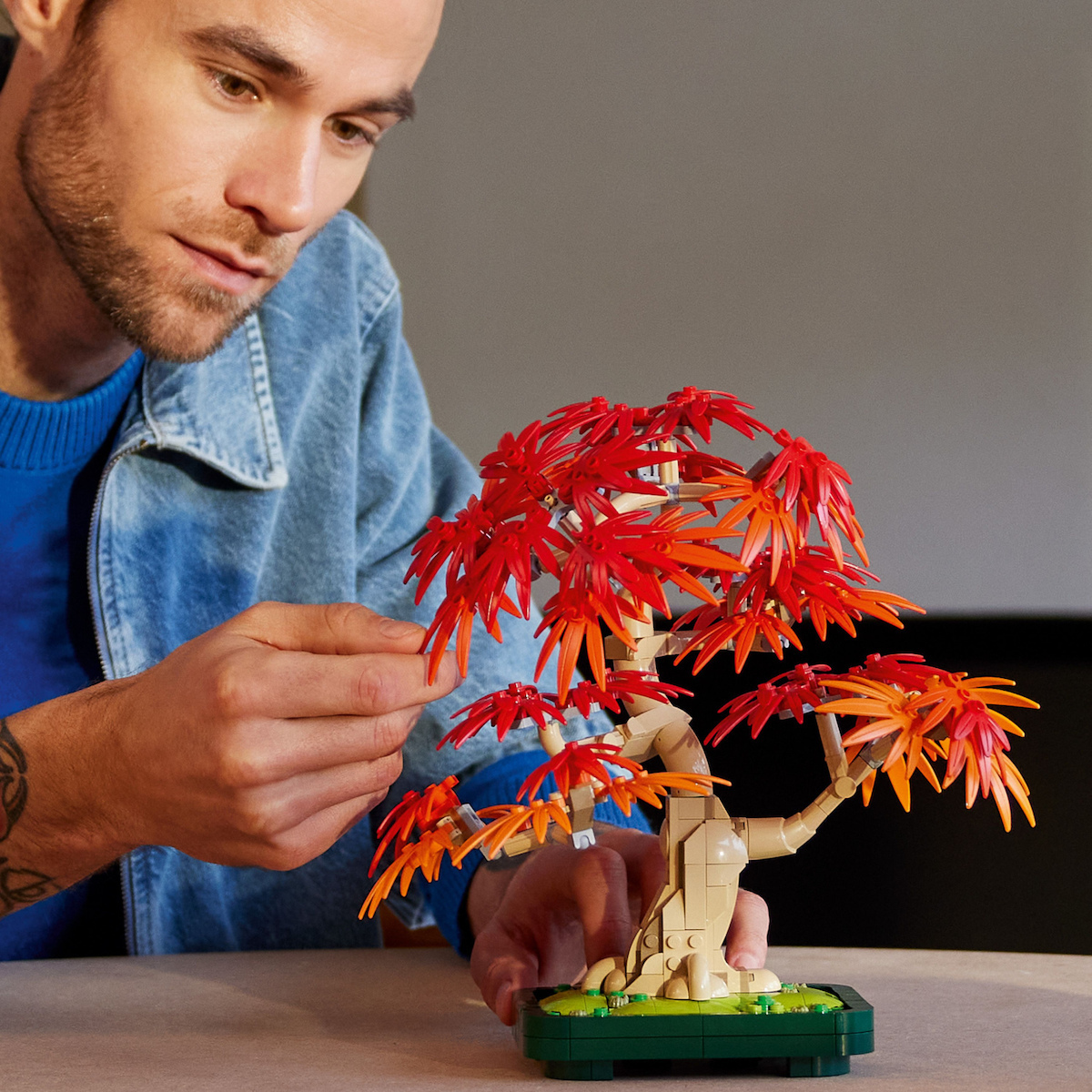 1/12レッドソニア　REDSONIA LEGO Botanical Collection Bonsai Japonez Cu Arțar Roșu Pentru 18+