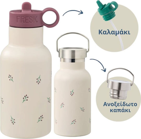Fresk Kids Water Bottle Thermos Stainless Steel with Straw Blue 500ml