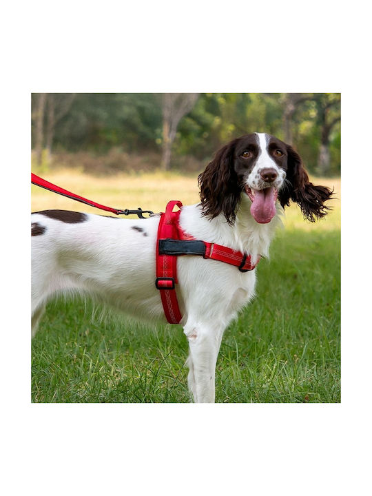 Dog Harness Reflective Silk Size Xl Red Oem