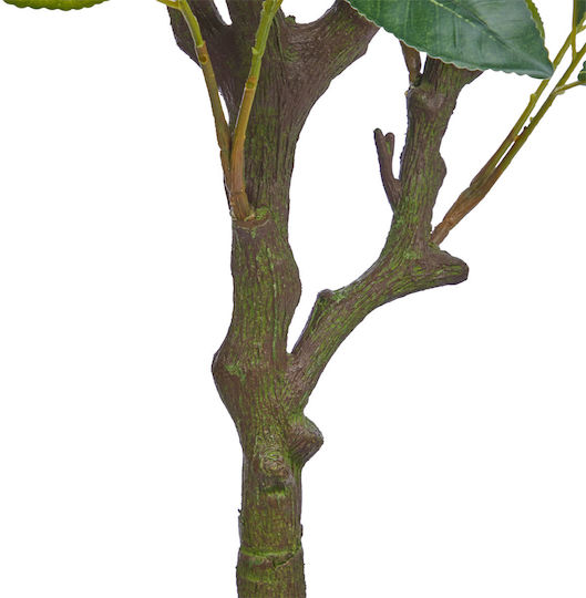 Florista Zitronenbaum 115cm Gelb Tiefe 60cm X Breite 50cm X Höhe 115cm Florista Zitronenbaum 115cm Gelb Tiefe 60cm X Breite 50cm X Höhe 115cm