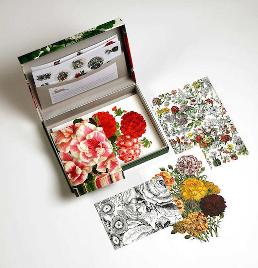 Flower Плик Кореспонденция 1бр в Многоцветен Цвят
