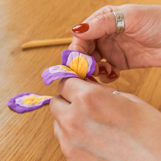 Creative Hand Creation Kit Irises Irises 30x40cm 10007