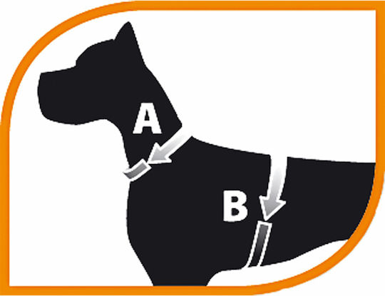 Ferplast Dog Leash/Lead Strap in Gray color up to 7kg
