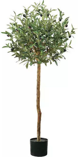 Marhome Outdoor Olive