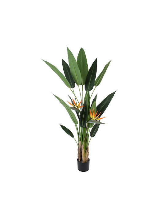 Paradiesvogel in Topfpflanze 140cm 4 Stück GloboStar