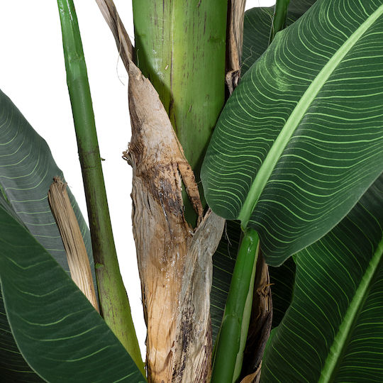 Artificial Decorative Branch Musa Green 300cm GloboStar