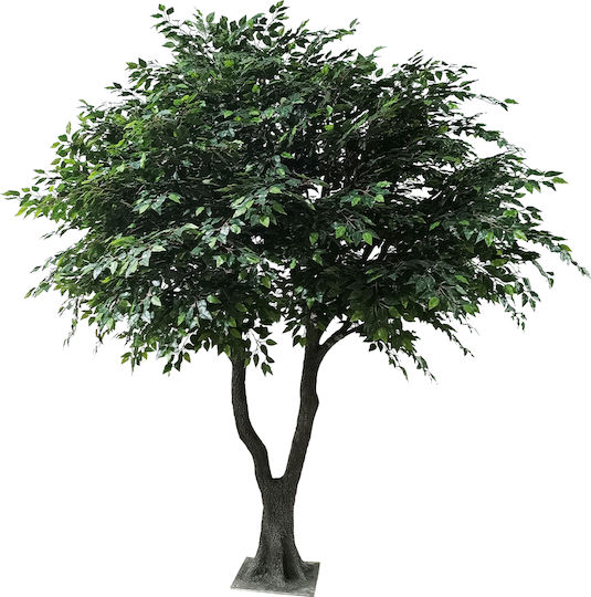 Ficus Lyrata Дърво На Открито 350см GloboStar