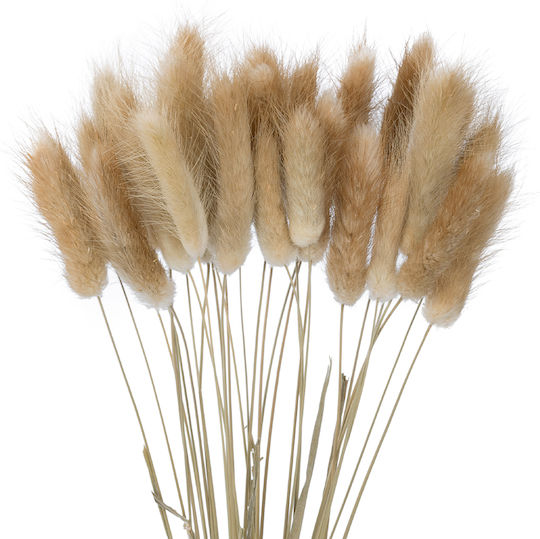 Plantă Uscată Beige 50cm GloboStar