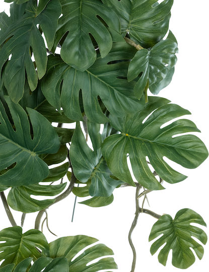 Dekorative künstliche Pflanze Monstera Grün 45cm in Box GloboStar