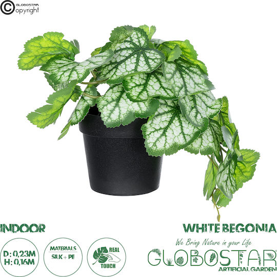 Globostar Künstliche Garten Weiße Begonie Pflanze 20947 Dekorative Pflanze Weiße Begonie Φ23 X Υ16cm