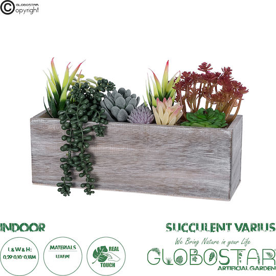 Globostar Artificial Garden Succulent Various Plant Potted Decorative Plant Mix L29 X W10 X H18cm GloboStar