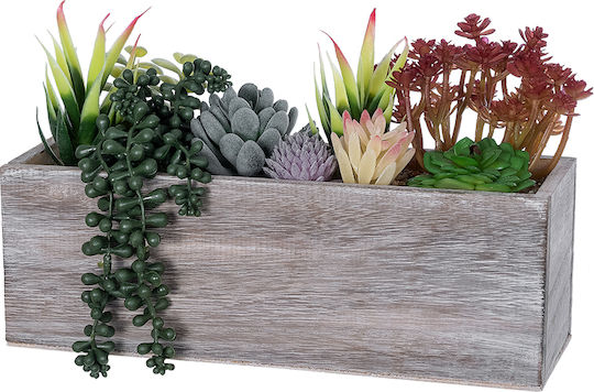 Globostar Artificial Garden Succulent Various Plant Potted Decorative Plant Mix L29 X W10 X H18cm GloboStar