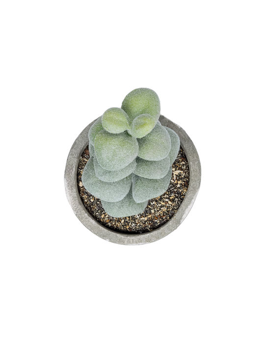 Globostar Artificial Garden Succulent Sedeveria Potted Plant 21027 Διακοσμητικό Φυτό Σεδεβέρια Φ5 X Υ11cm