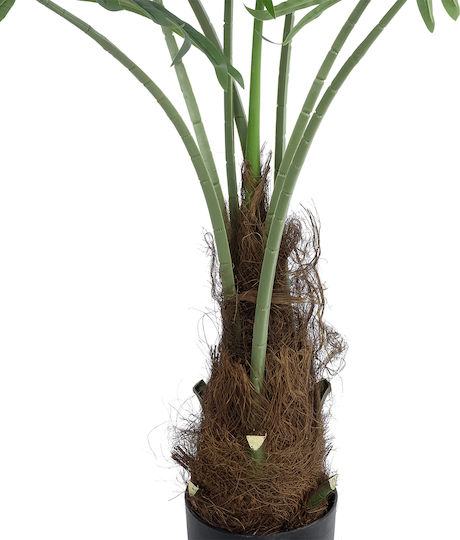Globostar Künstliche Garten Serenoa Palme Pflanze 20971 Dekorative Palme Pflanze Serenoa Φ60 X H140cm