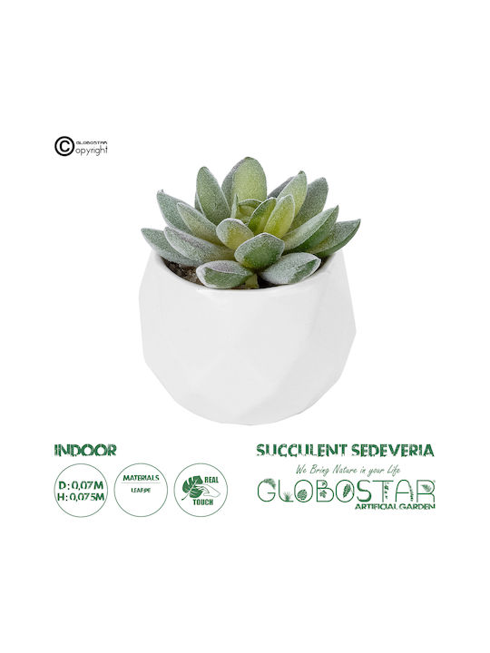 Globostar Artificial Garden Succulent Sedeveria Potted Plant 20987 Decorative Plant Sedeveria Φ7 X H7.5cm