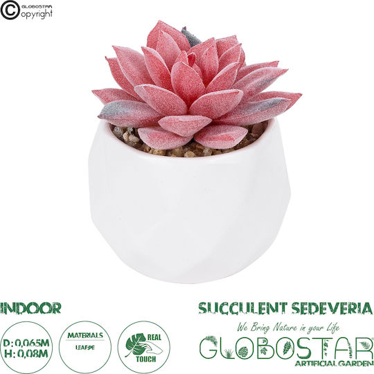 Künstliche Pflanze im Töpfchen Sedeveria Rosa 8cm GloboStar