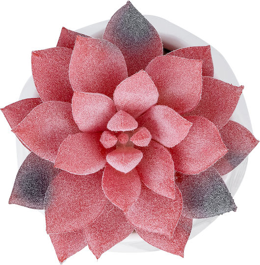 Künstliche Pflanze im Töpfchen Sedeveria Rosa 8cm GloboStar
