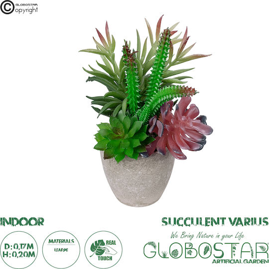 Globostar Grădină Artificială Suculentă Diverse Plante Înghesuite 21039 Mix de Plante Decorative Înghesuite M17 X H20cm