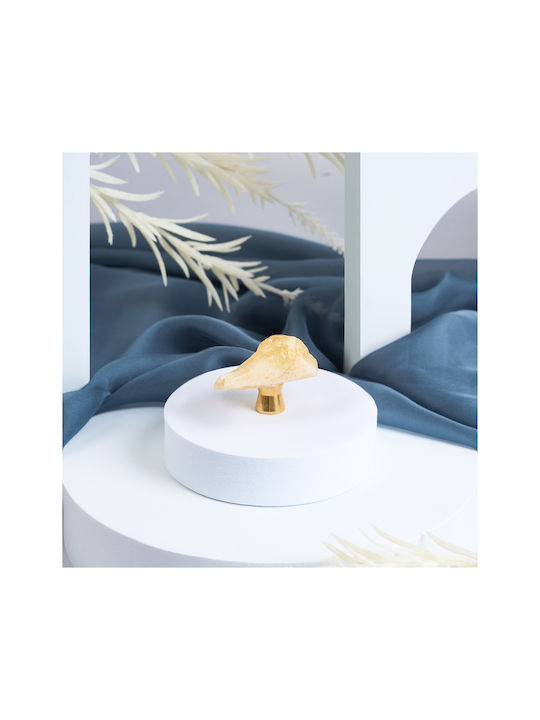 Knob Furniture made of Crystal in Beige Color 1pcs