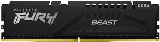 Kingston FURY Beast DDR5 with Module 1x32GB and Speed 5200 for Desktop
