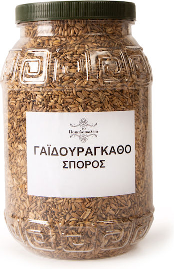 Γαϊδουράγκαθο Σπόροι Ή Σύλιβο Μαριανό 500 Γρ