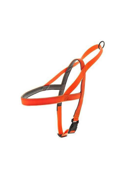 Ferribiella Norwegisches Hundegeschirr Typ M: 2 cm x 58-76 cm