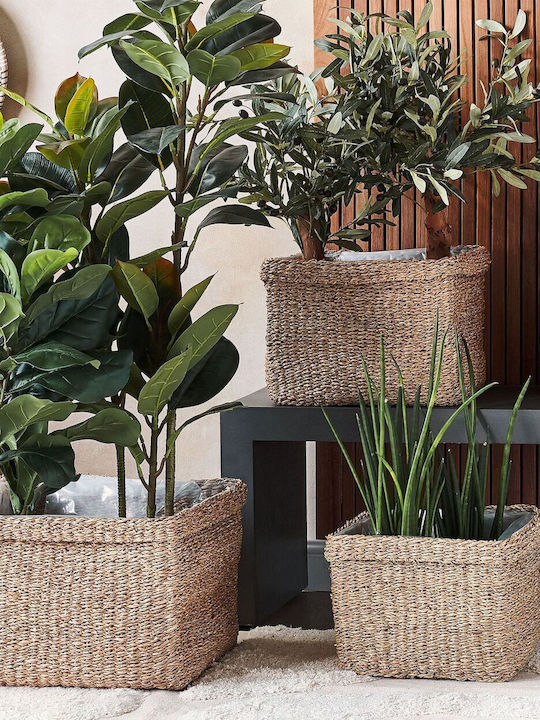 Beliani Set of Decorative Baskets Straw Beige 3pcs
