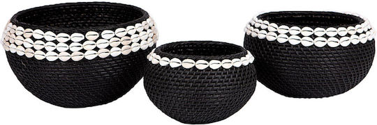 Supergreens Set dekorative Körbe Rattan Black Mit Muscheln 3Stück