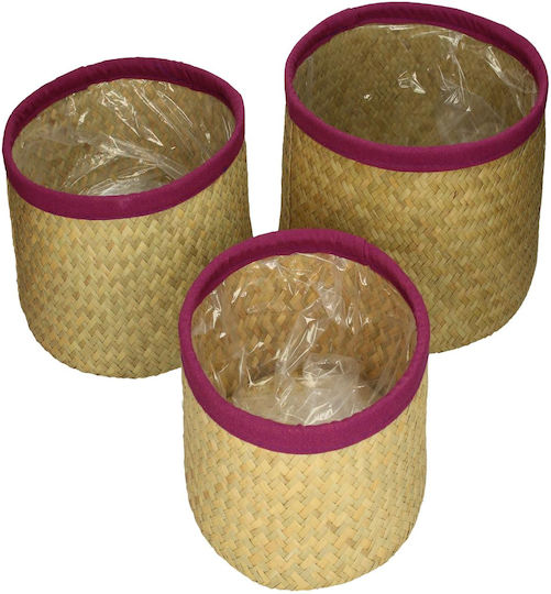 Zaros Set Dekorative Körbe Korbweide mit Veilchen-Tresse 27x27x17cm 3Stücke