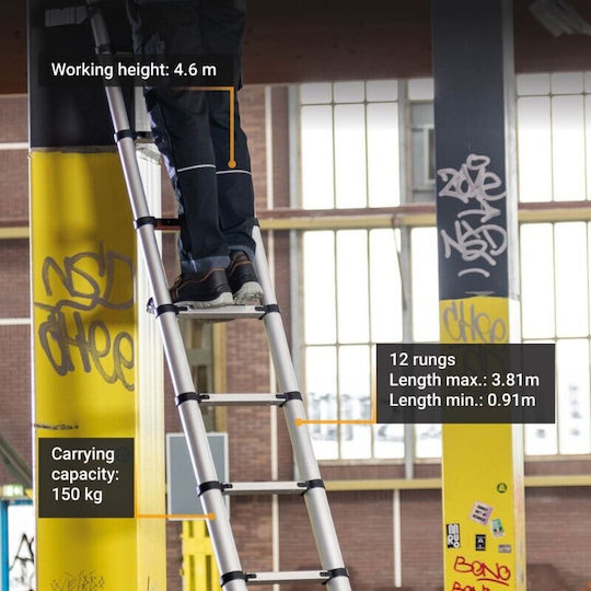 Batavia Telescopic Ladder Aluminum 12 of Steps with Maximum Height 3.81m